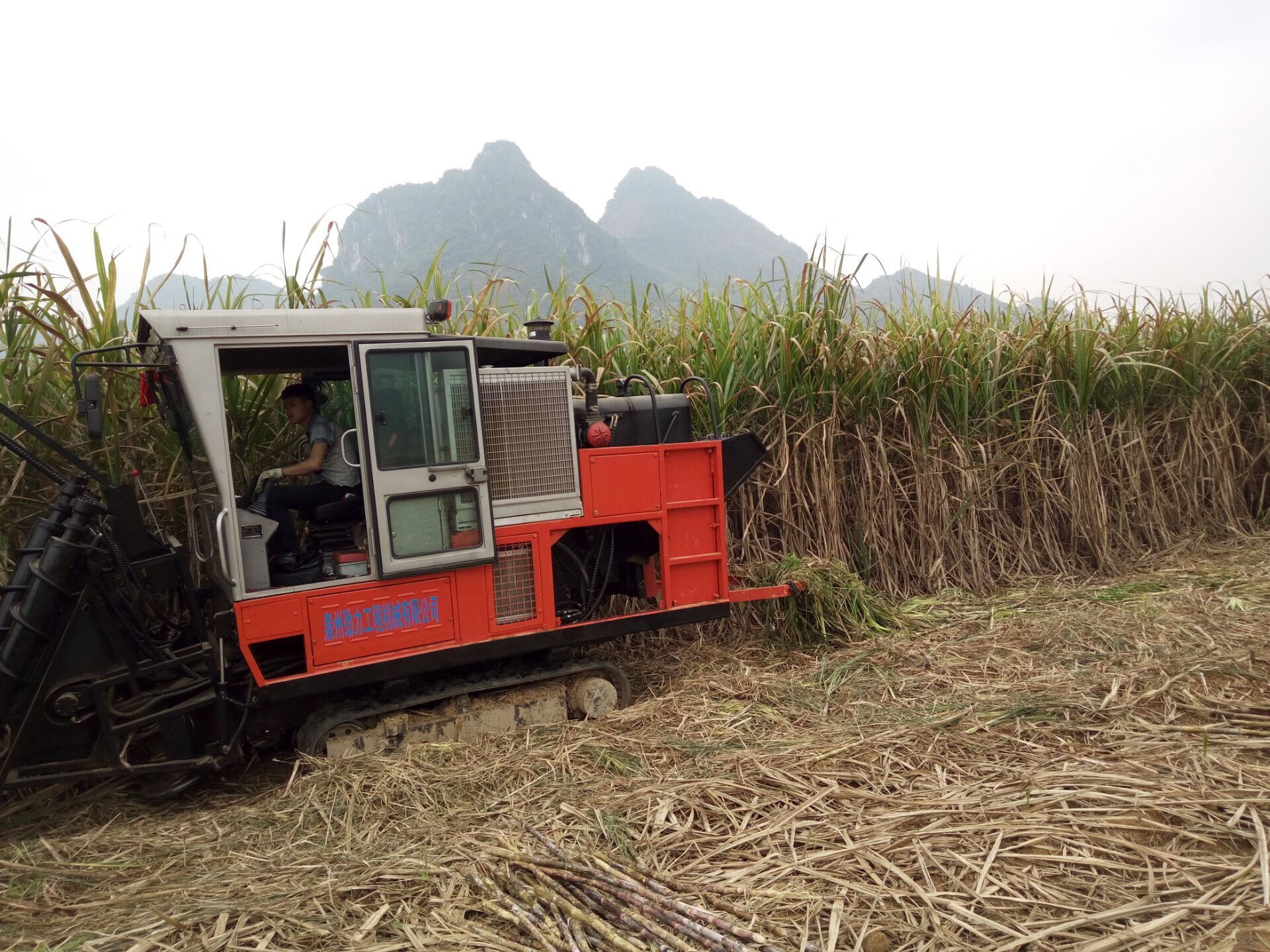 JingGong ภาษา 4gllanguage section-1 sugarcane harvester ได้รับจงสรรเสริญจากคนฟิลิปปินลูกค้า